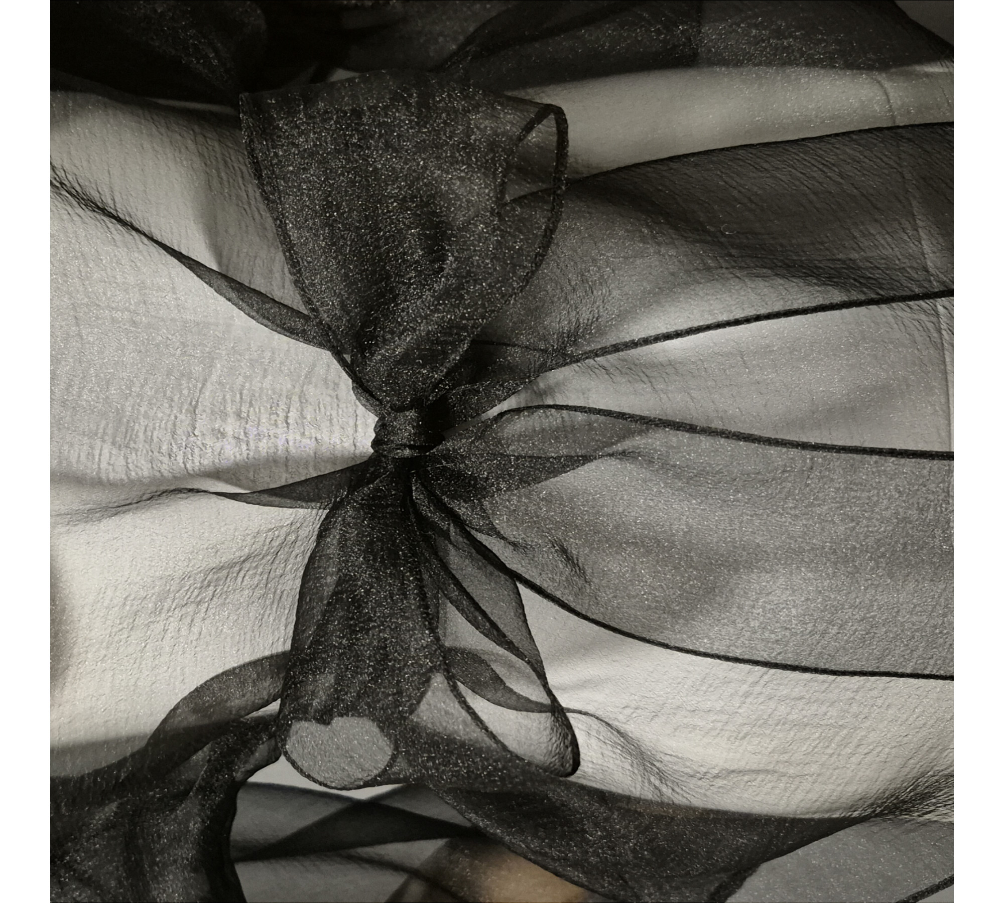 Pale Blue Crinkled Organza Sheer Belted Dress turn back to front.