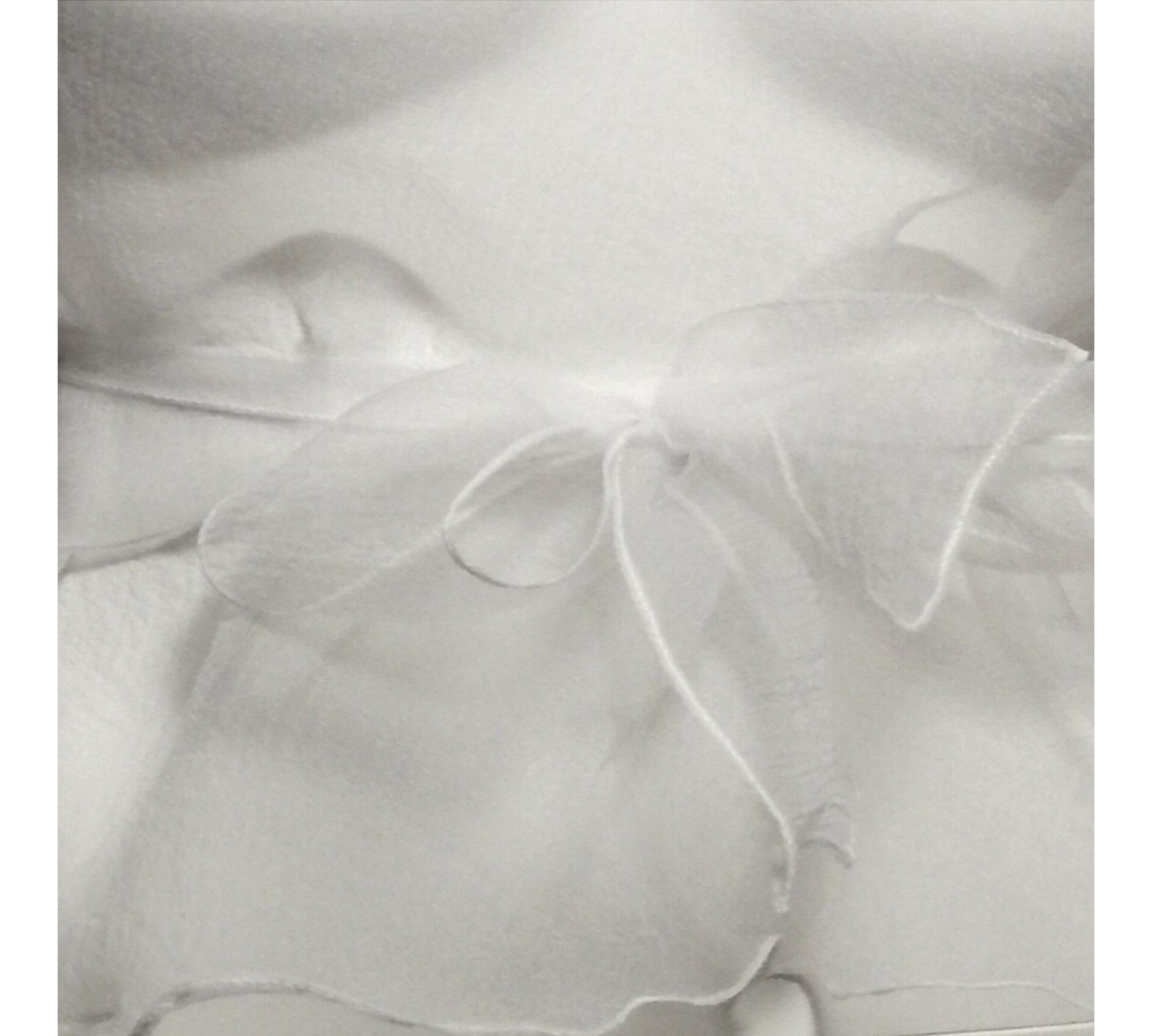 Pale Blue Crinkled Organza Sheer Belted Dress turn back to front.