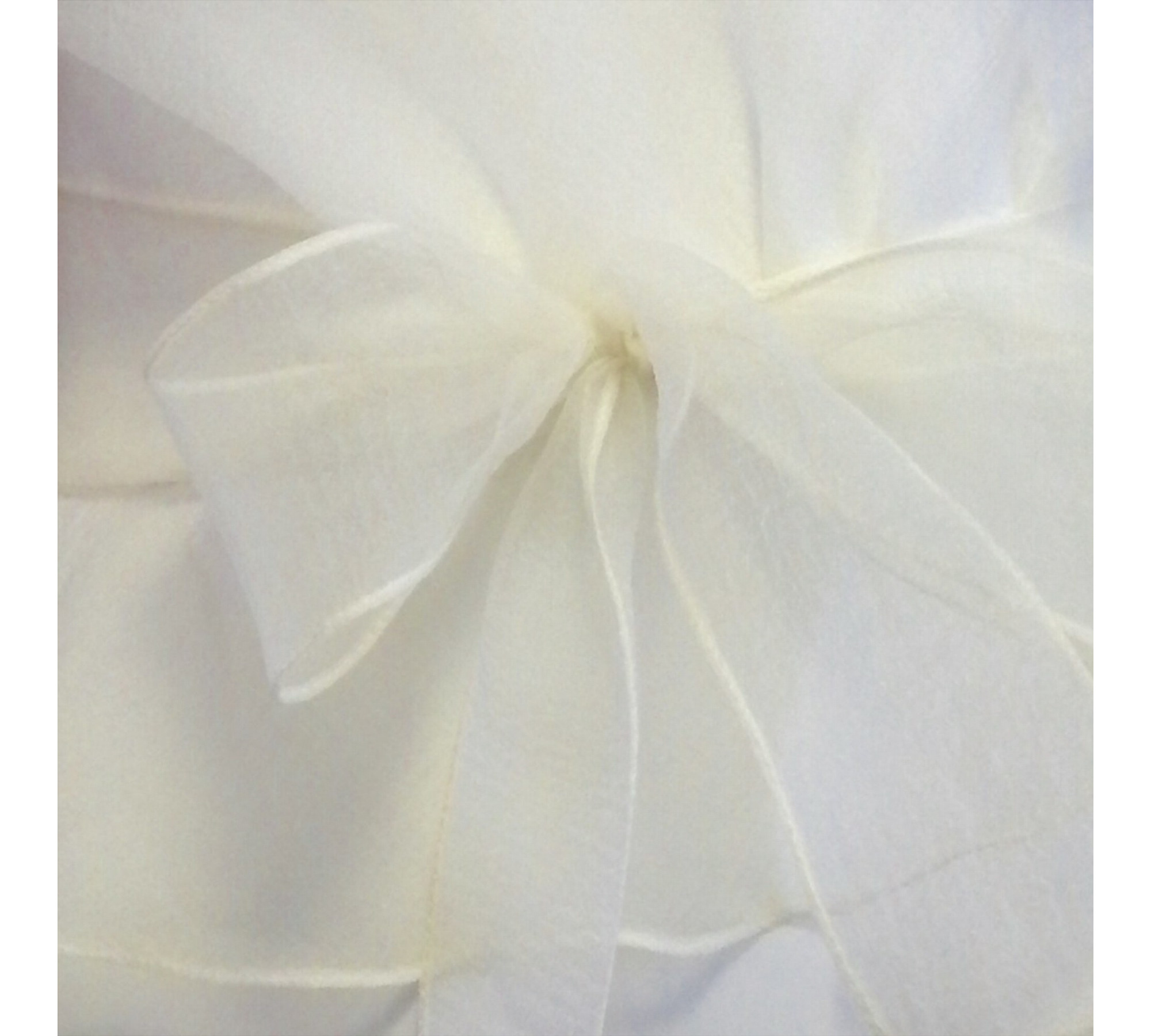 Pale Blue Crinkled Organza Sheer Belted Dress turn back to front.