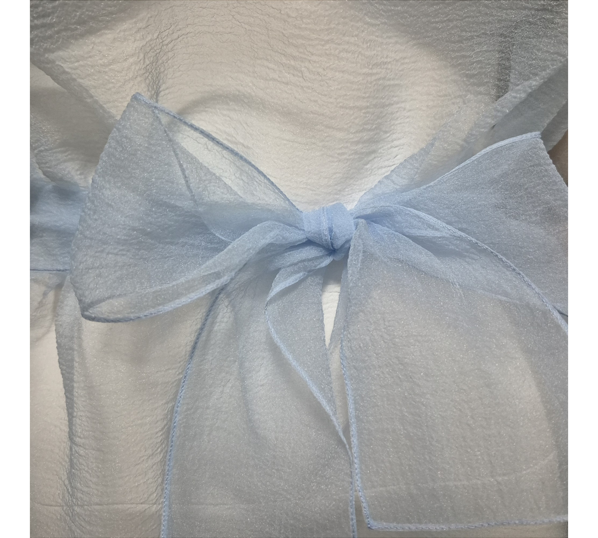 Pale Blue Crinkled Organza Sheer Belted Dress turn back to front.