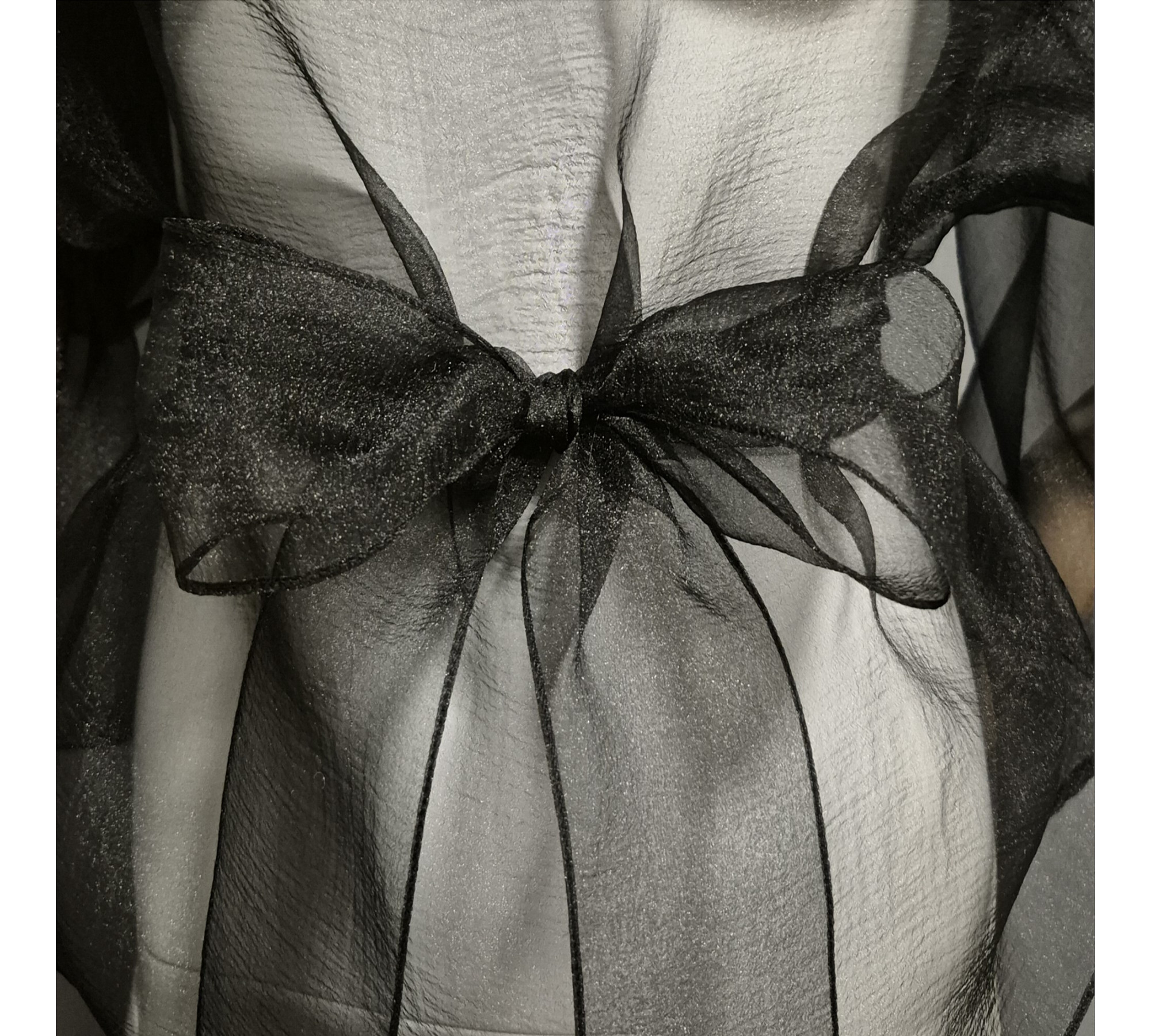 Pale Blue Crinkled Organza Sheer Belted Dress turn back to front.