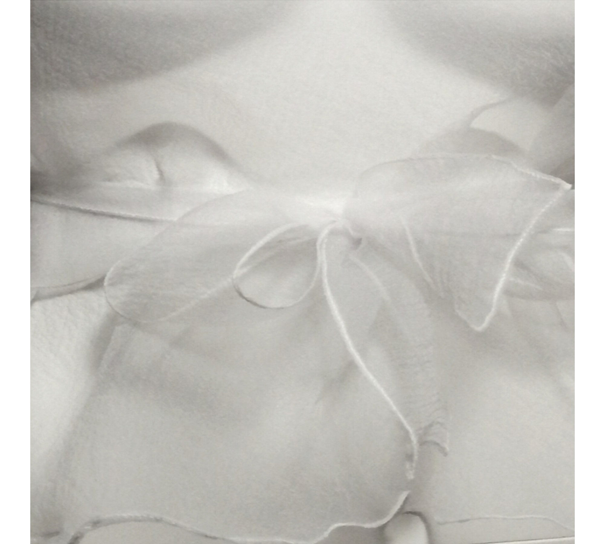 Pale Blue Crinkled Organza Sheer Belted Dress turn back to front.