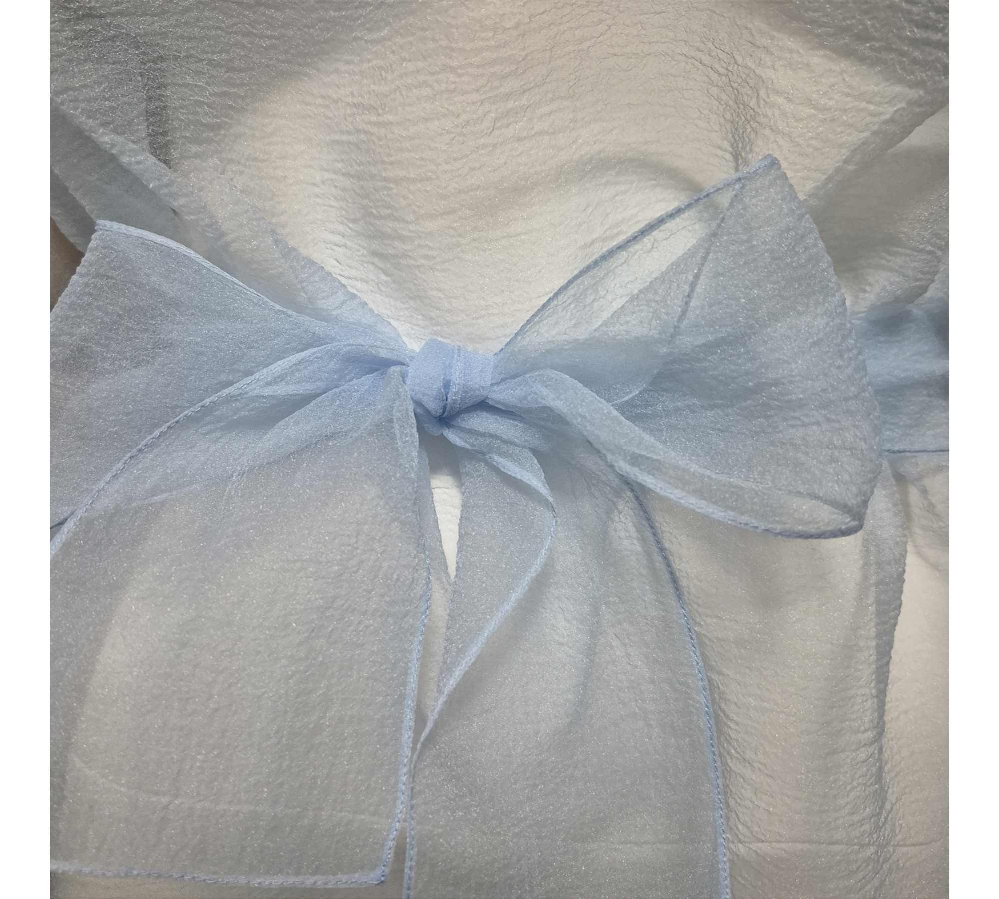Pale Blue Crinkled Organza Sheer Belted Dress turn back to front.
