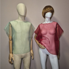 Transparent sleeveless blouse.