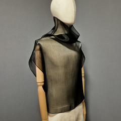 Transparent sleeveless blouse.