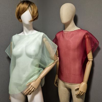 Transparent sleeveless blouse.