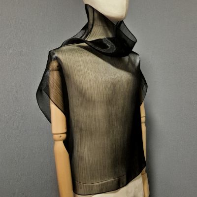 Transparent sleeveless blouse.